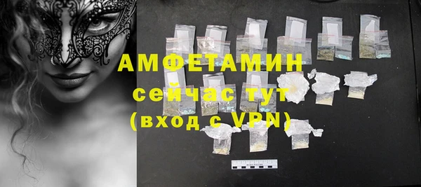соль ск Инсар
