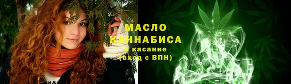 соль ск Инсар