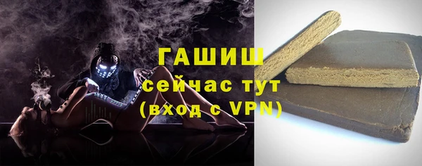соль ск Инсар