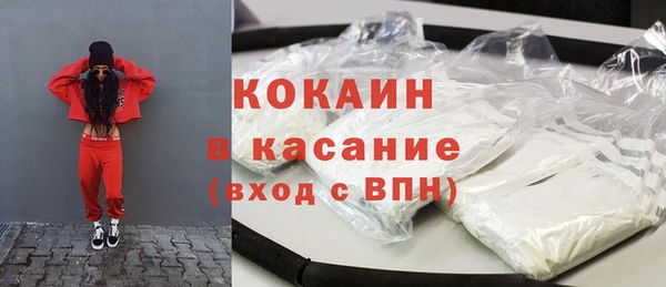 соль ск Инсар
