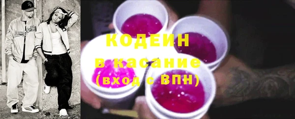 соль ск Инсар