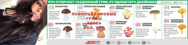 стафф Инта