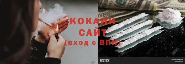соль ск Инсар