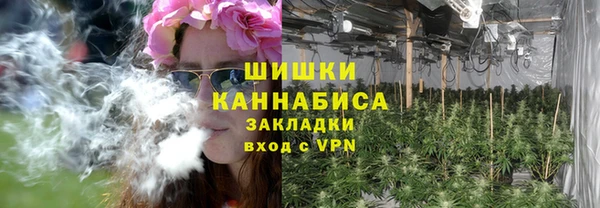 соль ск Инсар