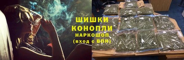 соль ск Инсар