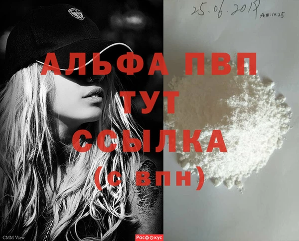 стафф Инта