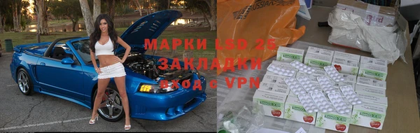 стафф Инта