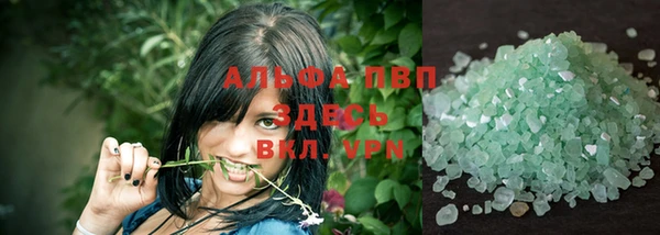 соль ск Инсар